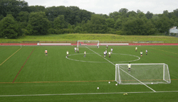 turf